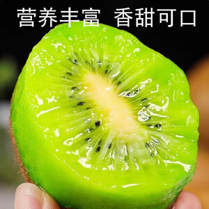 京觅江山徐香猕猴桃 12-15粒 单果70g+