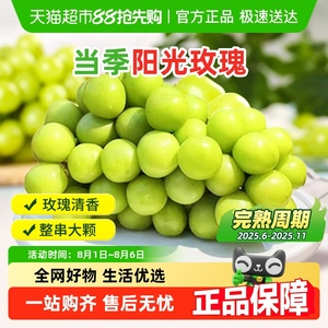 当季新鲜阳光玫瑰葡萄4.5斤